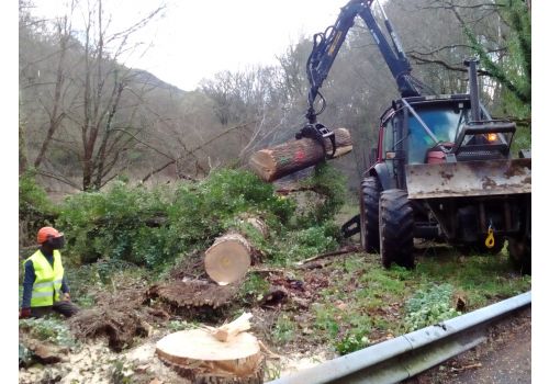 SERVICIO DE SEGURIDAD Y SALUD: VIALIDAD INVERNAL Y CONSERVACIÓN EN OURENSE